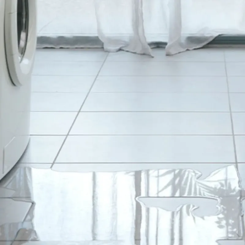 Appliance Leak Cleanup in Pinellas Park, FL