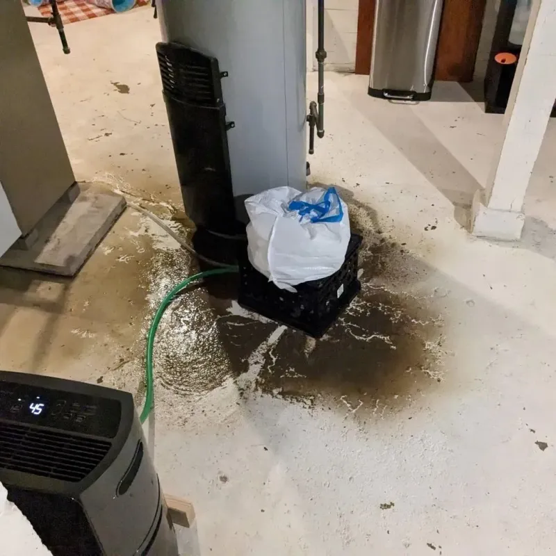 Sewage Backup Cleanup Service in Pinellas Park, FL